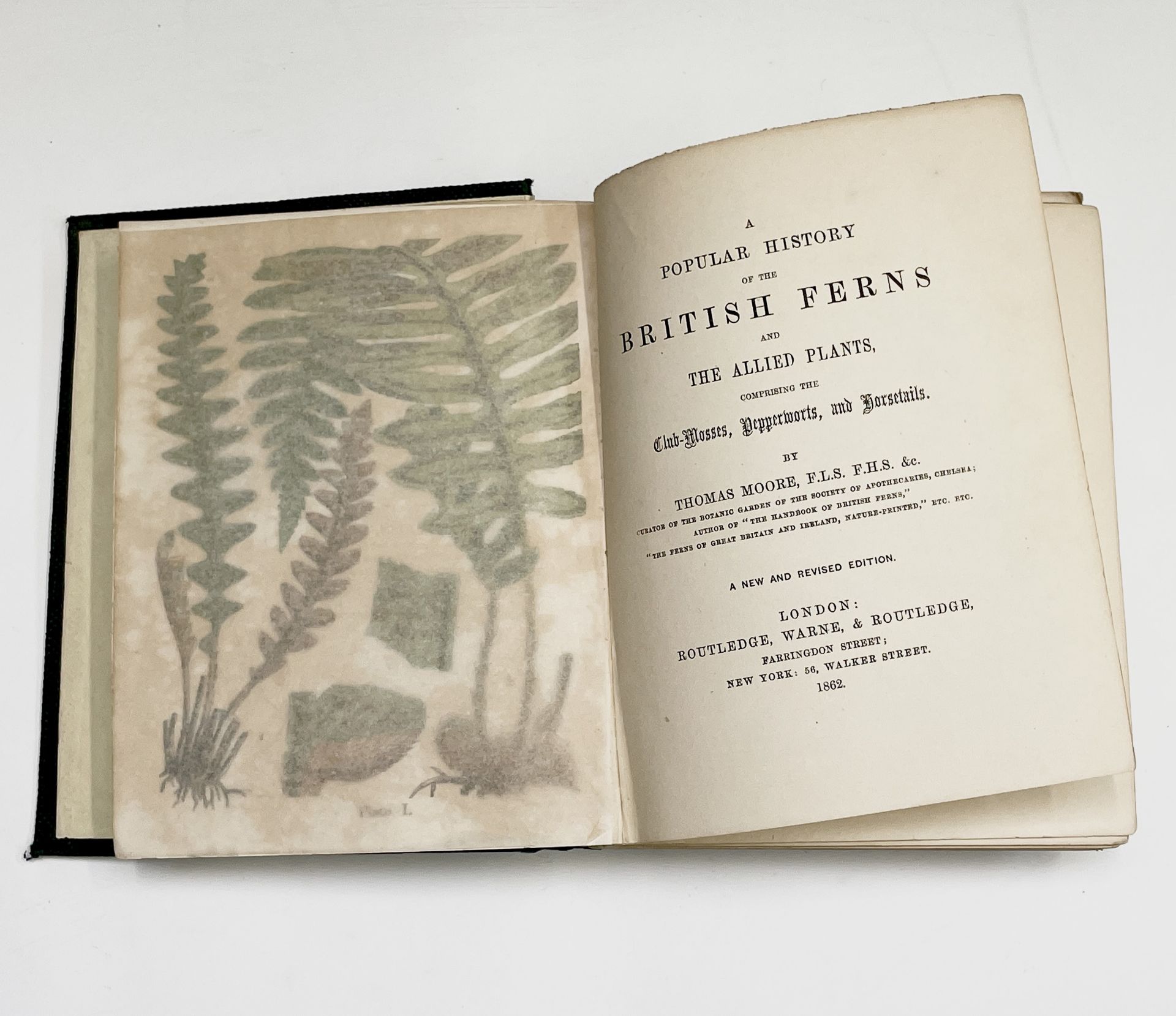 THOMAS MOORE. 'A Popular History of the British Ferns and Allied Plants, comprising the Club-Mosses, - Image 2 of 7