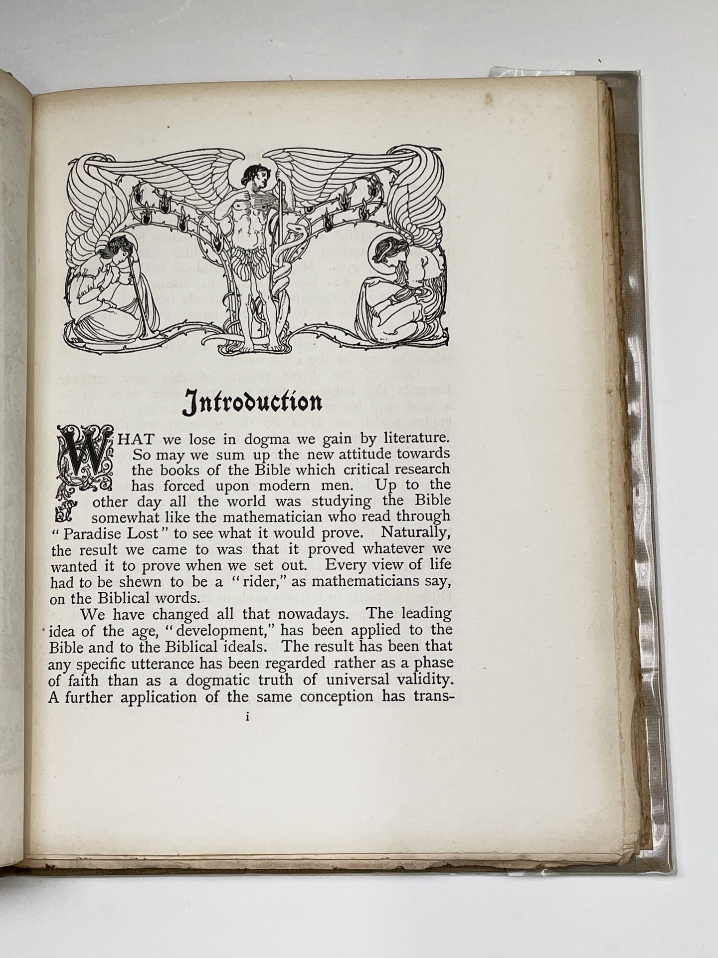 HERBERT GRANVILLE FELL. 'The Book of Job.' Introduction by Joseph Jacobs, fully illustrated with - Image 23 of 33