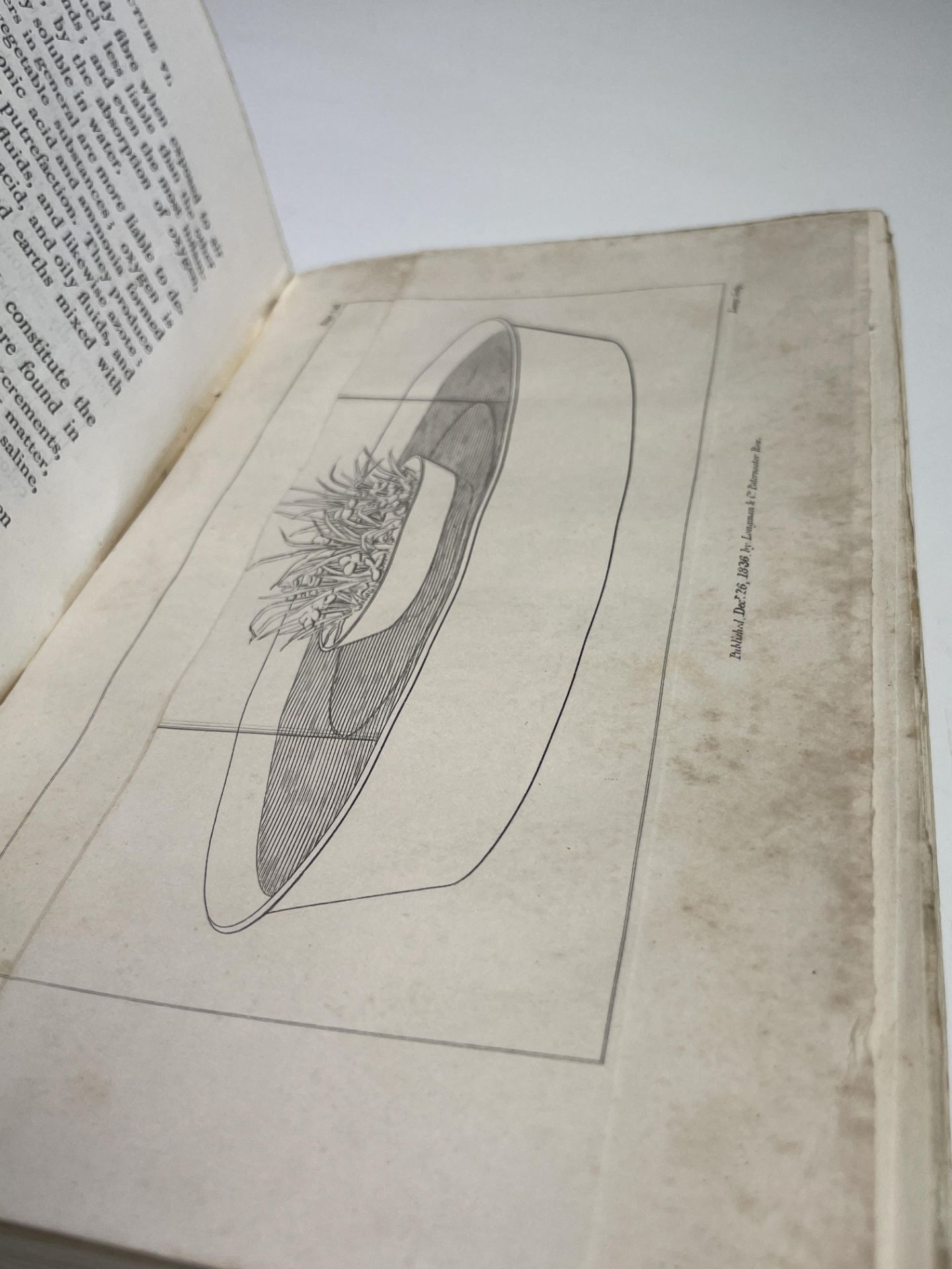 SIR HUMPHREY DAVY. 'Elements of Agricultural Chemistry, In a Course of Lectures for The Board of - Image 5 of 12