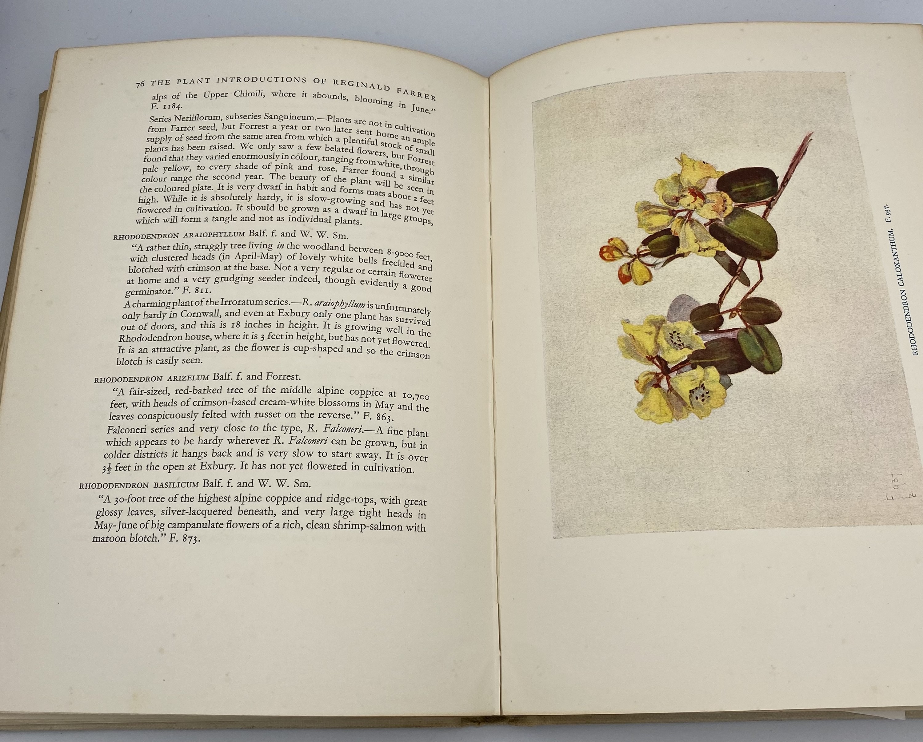 E. H. M. COX. 'The Plant Introductions of Reginald Farrer'. First Edition, signed letter of - Image 4 of 5