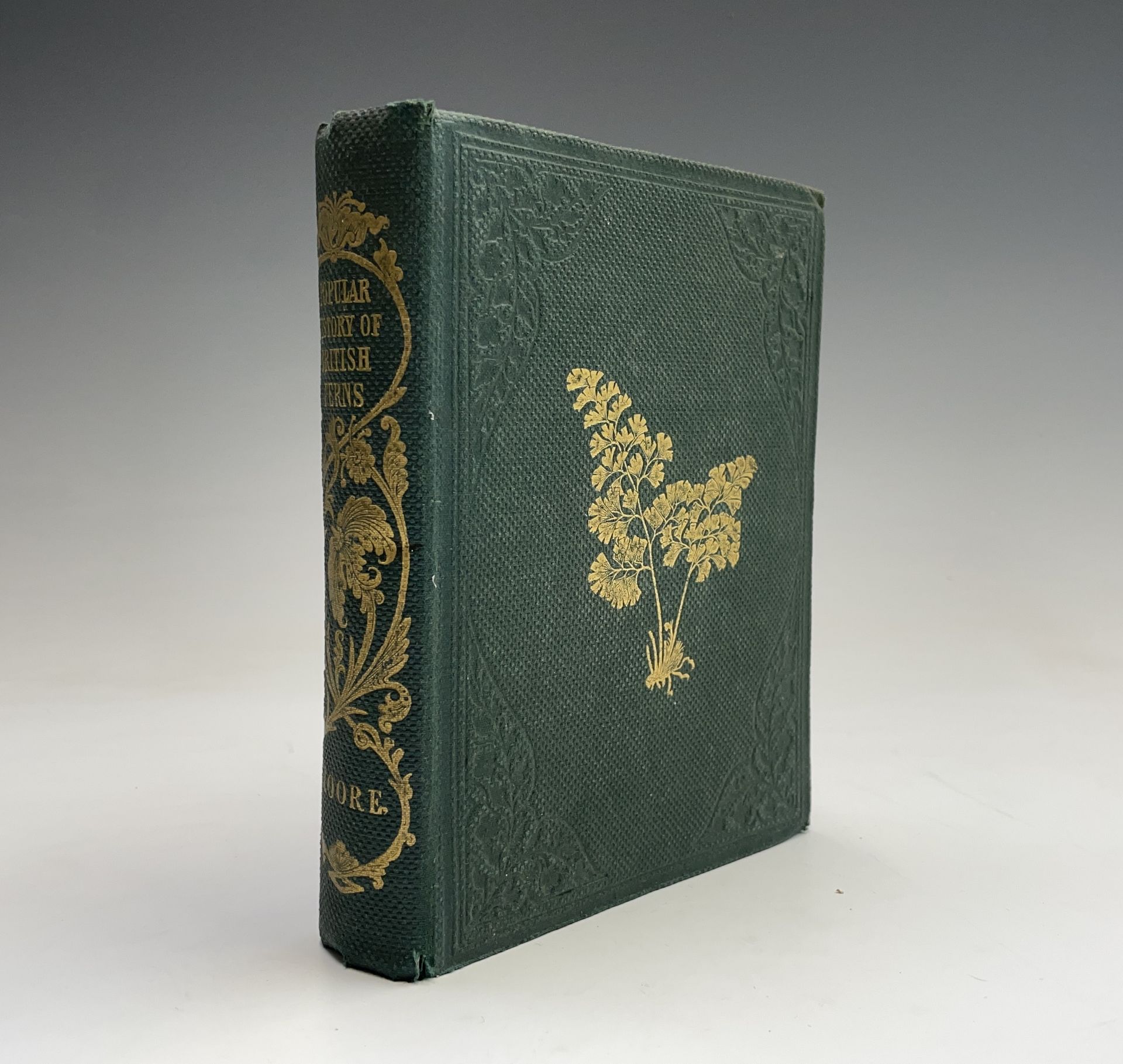 THOMAS MOORE. 'A Popular History of the British Ferns and Allied Plants, comprising the Club-Mosses,