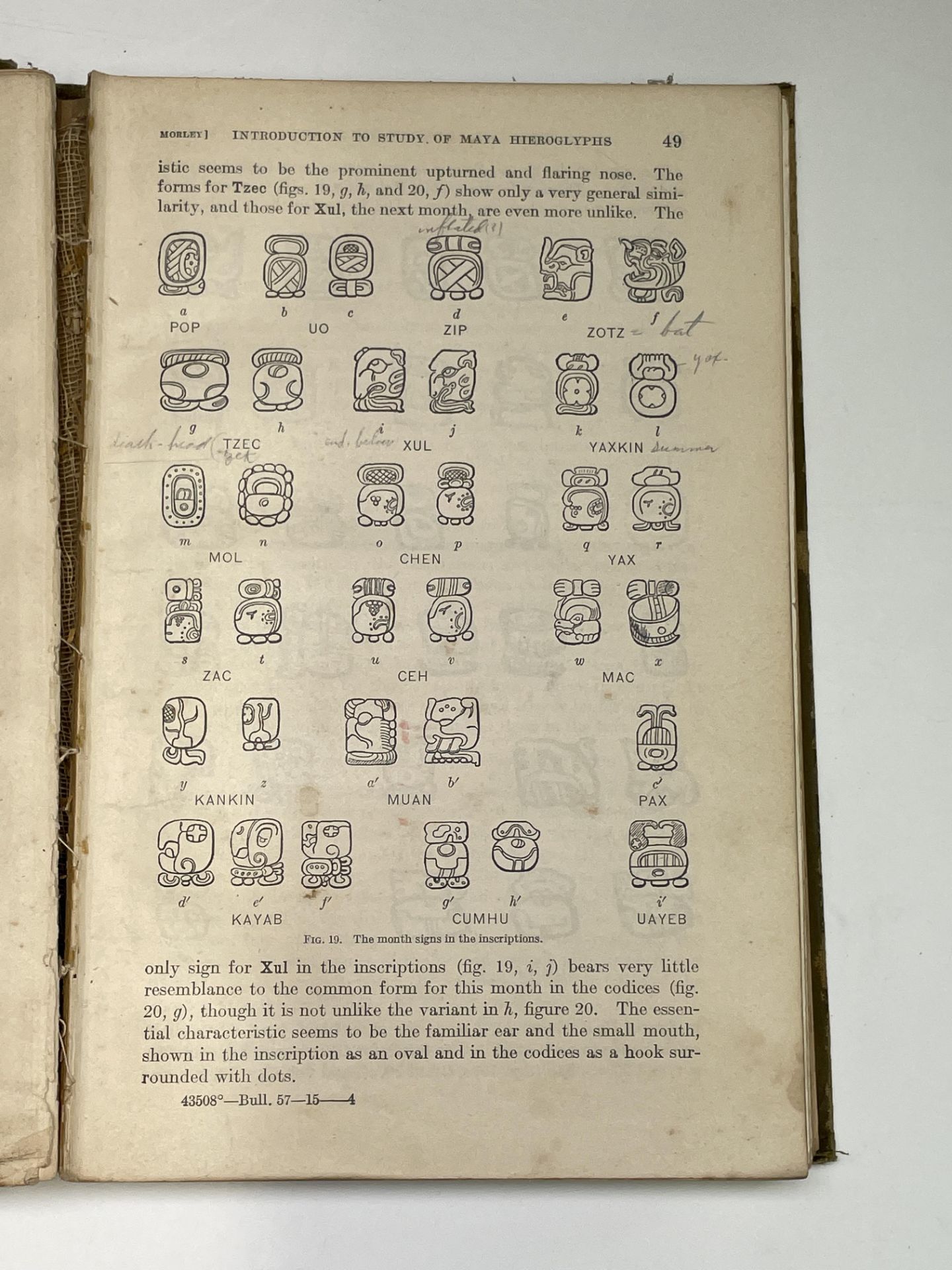 SYLVANUS GRISWOLD MORLEY. 'An Introduction to the Study of the Maya Hieroglyphics.' First edition, - Image 10 of 10