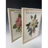 BOTANY. 'The Rhododendron.' Two vols, folio, original cloth, unclipped dj, tears and chips to vol