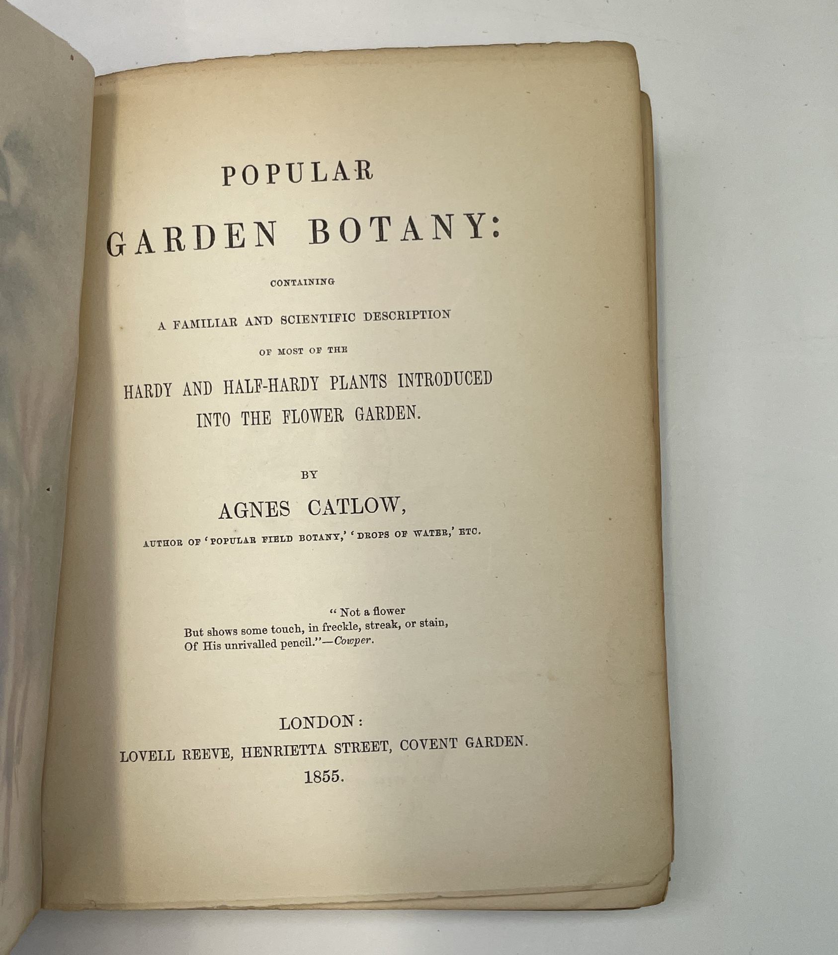 AGNES CATLOW. 'Popular Garden Botany: A Familiar and Scientific Description.' 20 hand-coloured - Image 2 of 4