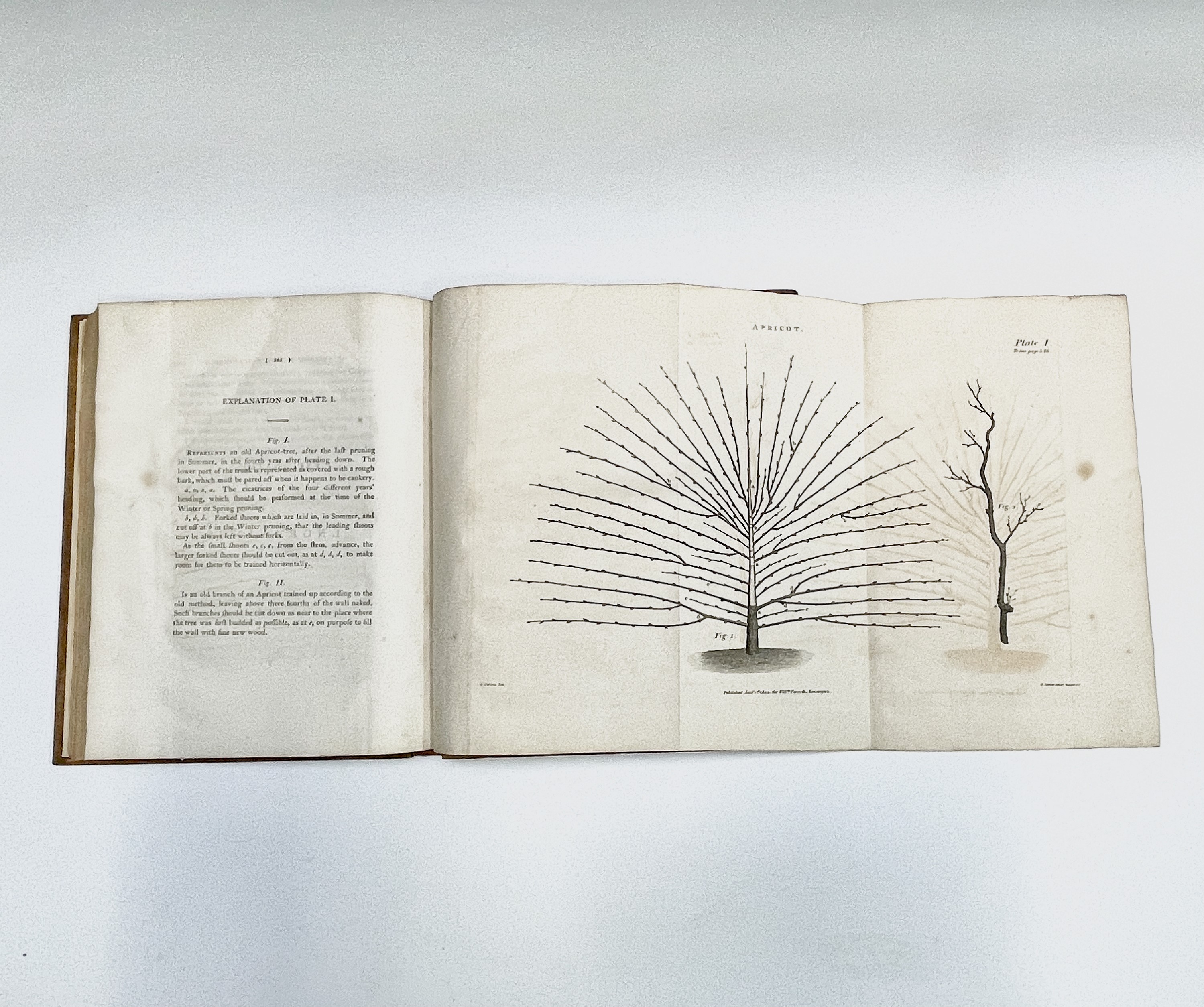 WILLIAM FORSYTH. 'A Treatise on the culture and management of fruit-trees.....' Rare first - Image 4 of 10