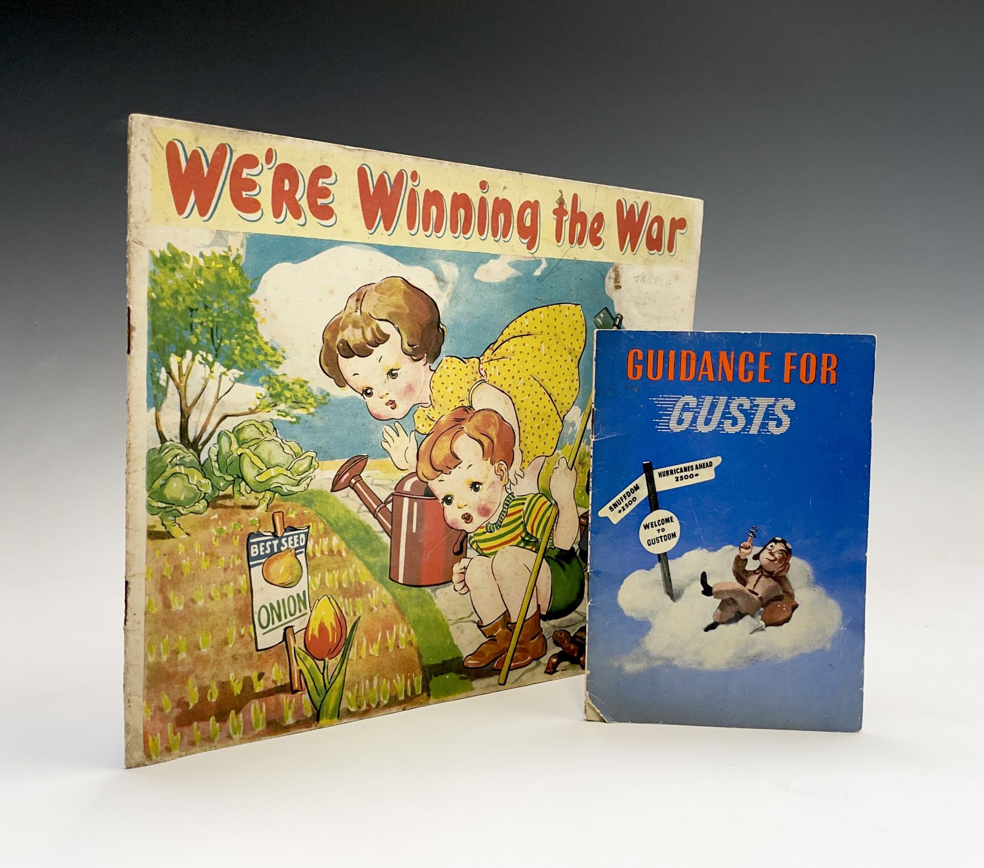 WORLD WAR II RAF PROPAGANDA. Guidance for Gusts. Being a few windy whimsies captured from the