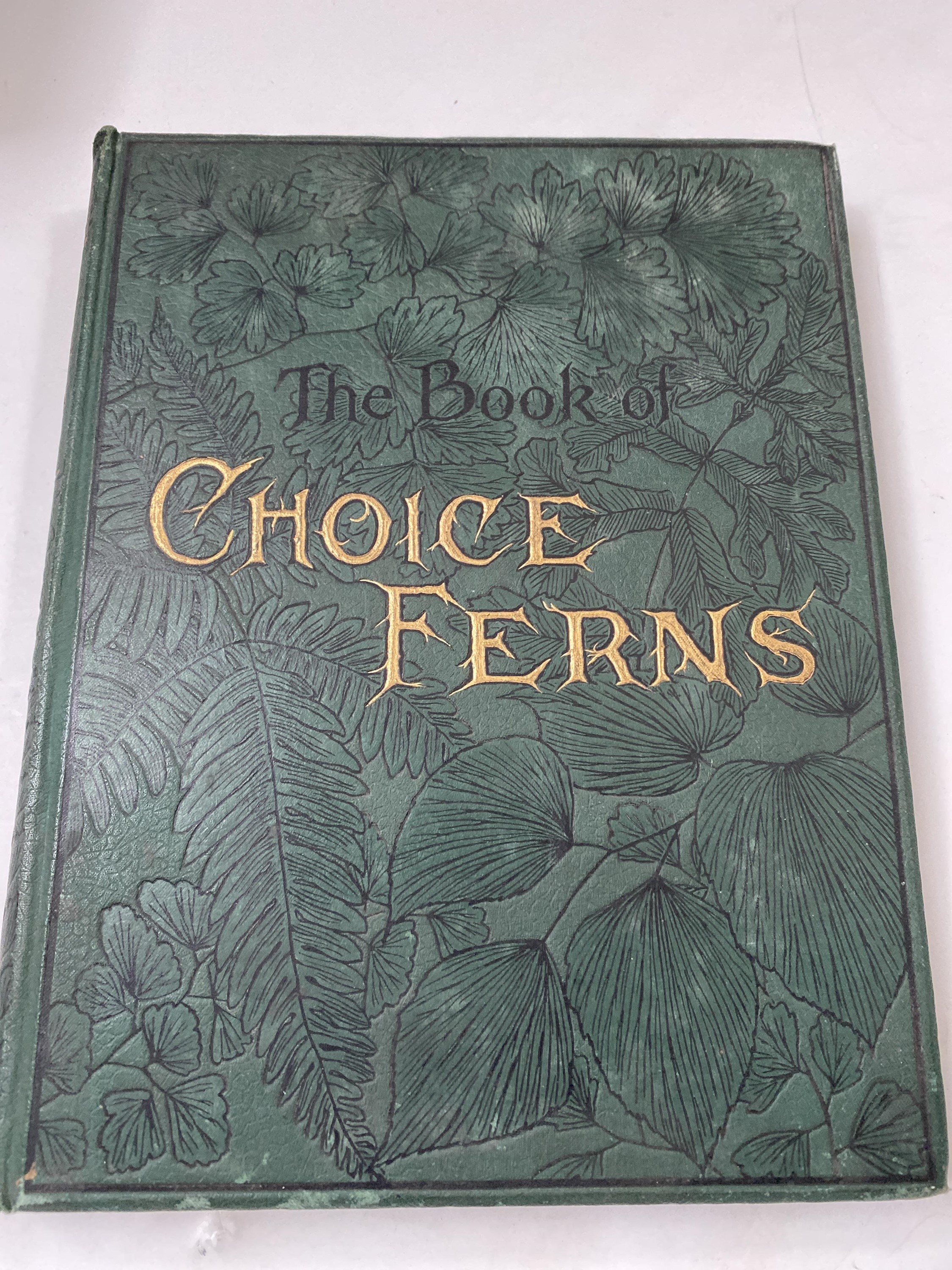 GEORGE SCHNEIDER. 'The Book of Choice Ferns.' Five vols, original pictorial cloth, rubbed ends to - Image 2 of 6