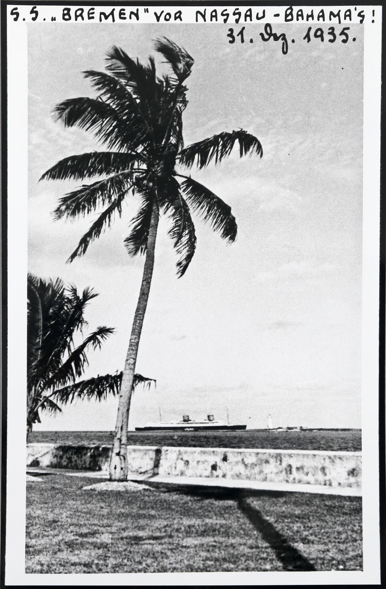 Konvolut 888 Fotografien der Bordfotografen der Dampfer 'Bremen' und 'Columbus', 1929-1939 - Bild 4 aus 5