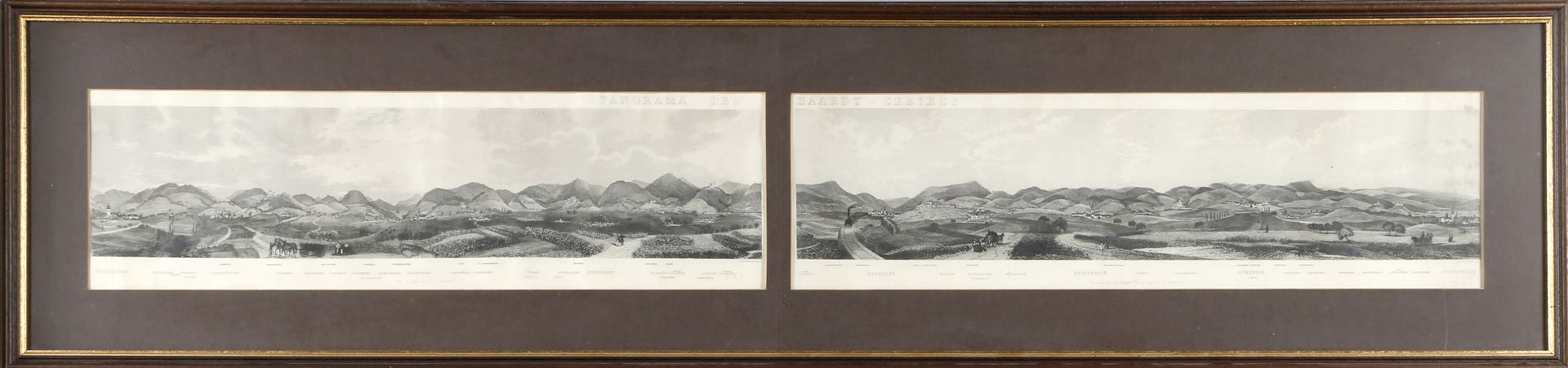 'Panorama des Haardt-Gebirges', um 1855