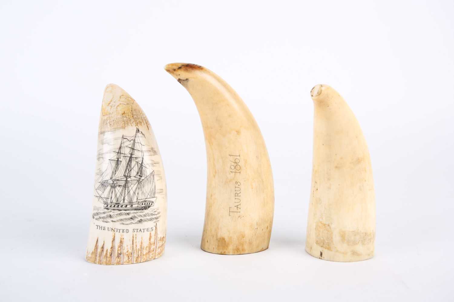 Three whale tooth scrimshaws, all with later decoration, depicting a whale, inscribed verso 1861, an - Image 3 of 10