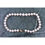A freshwater pearl necklace, comprised of round white freshwater pearls, approximately 12-14 mm