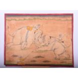 Indian school, 19th century, Mahouts on fighting elephants, within a red border, gouache with wax