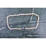 A cultured pearl necklace, set with white pearls of approximately 6-8 mm, fastened with a pearl