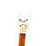 A 19th century dog head walking cane, the ivory pommel carved as a Pug type dog, with pricked up