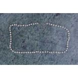 A platinum and pearl necklace, set with small pearls, unmarked (tests as platium), 42 cm long, 7