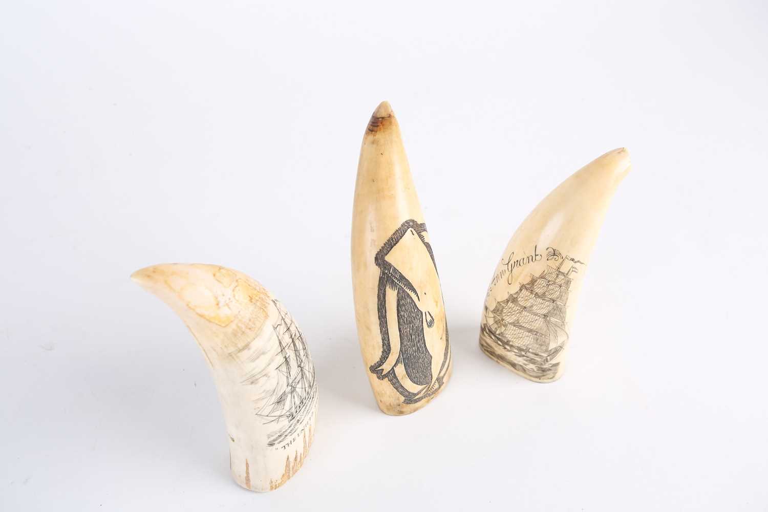 Three whale tooth scrimshaws, all with later decoration, depicting a whale, inscribed verso 1861, an - Image 2 of 10