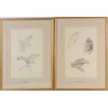 Roland Green (1896-1972), two framed pencil sketches of various birds of prey, one signed, the