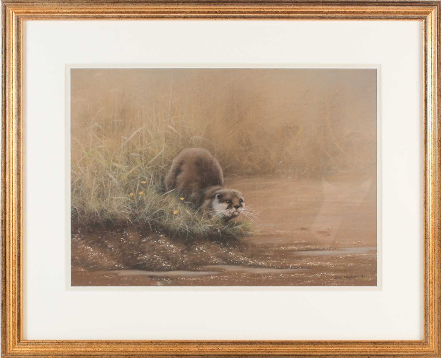 John Naylor (b.1960) British, an otter on a riverbank, pastel on paper, signed and dated 1991, 24.