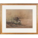 John Naylor (b.1960) British, an otter on a riverbank, pastel on paper, signed and dated 1991, 24.