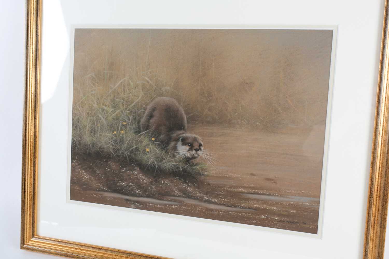 John Naylor (b.1960) British, an otter on a riverbank, pastel on paper, signed and dated 1991, 24. - Image 3 of 4