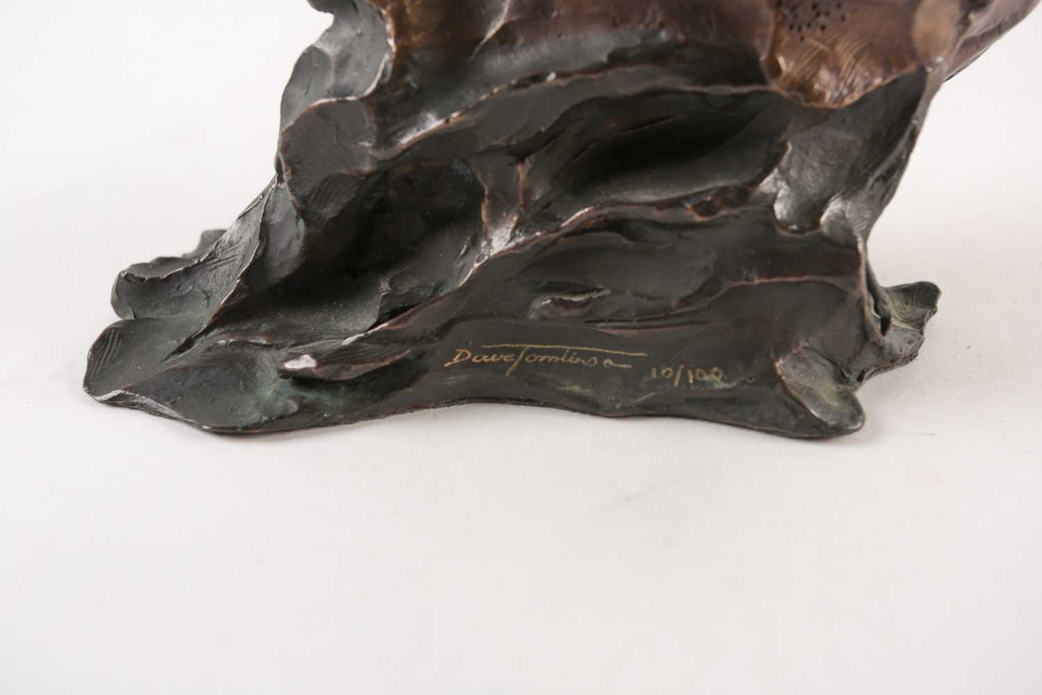 David Tomlinson: a limited edition bronze study of a pair of cassowary birds, on an integral - Image 3 of 6