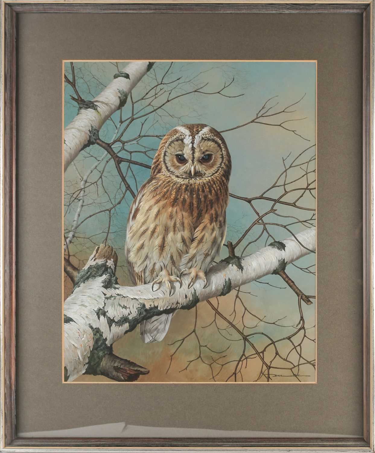 Basil Ede (1931-2016), 'Tawny Owl', gouache and bodycolour, signed to lower right corner, 47.5 cm