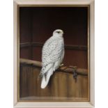 David Morrison Henry (1919-1977), 'Greenland Gyrfalcon', gouache and bodycolour, signed to lower