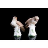 A pair of Crown Staffordshire ceramic Hawk Owl models, by M. Doubell Miller, numbered 129, each on
