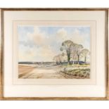 Adrian Taunton (born 1939), a rural landscape, watercolour, signed and dated '94, 37.5 cm x 52 cm,