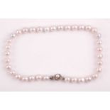 A South Sea white pearl necklace, the pearls approximately 9-11mm, fastened with a silver clasp,