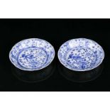 A pair Chinese Kangxi blue and white porcelain circular saucer dishes. Painted with aquatic scenes