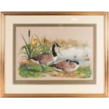 Alan Tinsey, Canada Geese family by waters edge, watercolour, signed with mongrame and dated 89