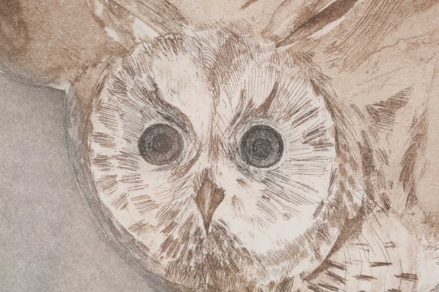 Dame Elizabeth Frink (1930-1933) British, 'Long-Eared Owl' from 'Six Owl Series', etching aquatint - Image 3 of 6