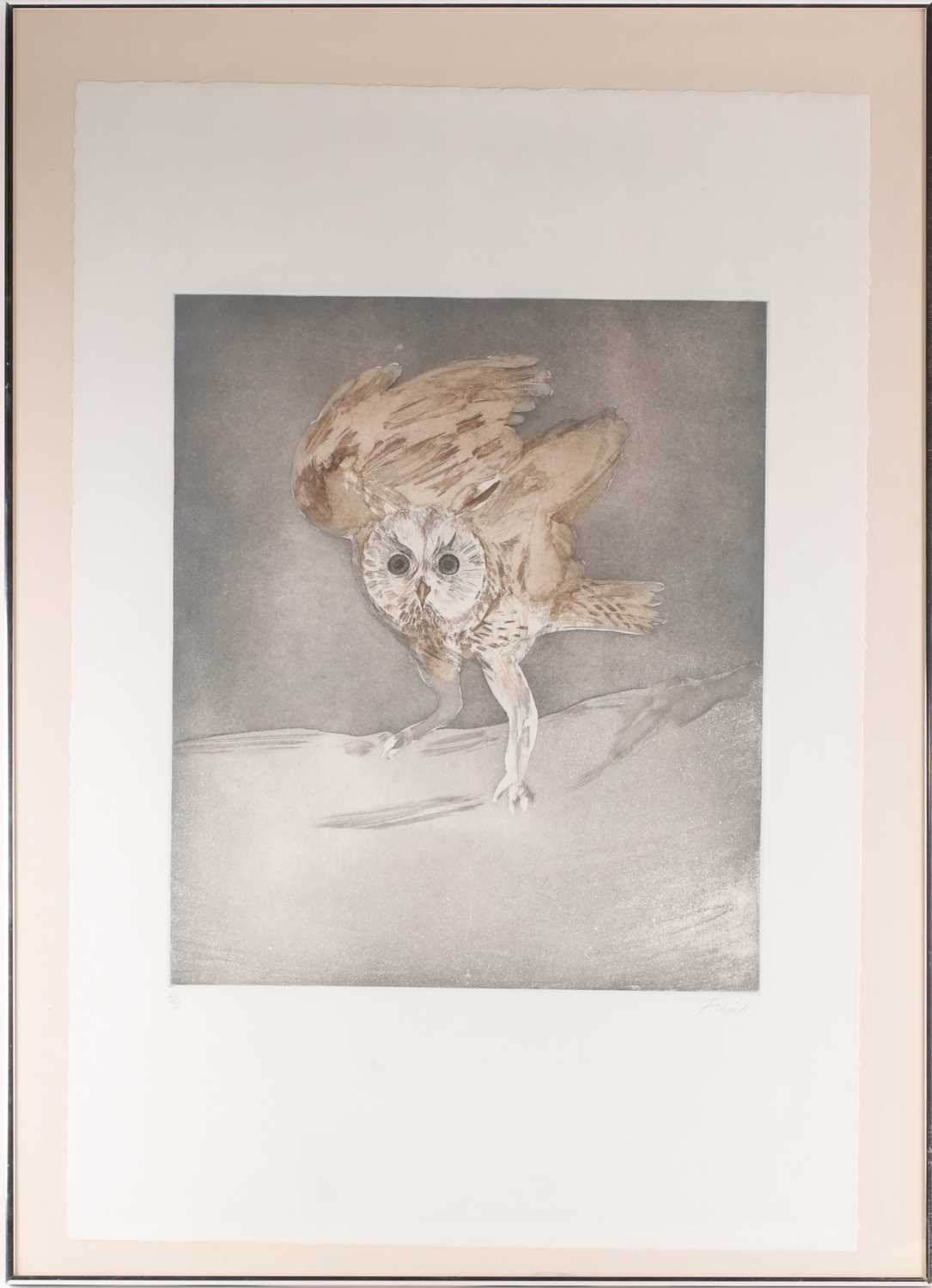 Dame Elizabeth Frink (1930-1933) British, 'Long-Eared Owl' from 'Six Owl Series', etching aquatint - Image 5 of 6