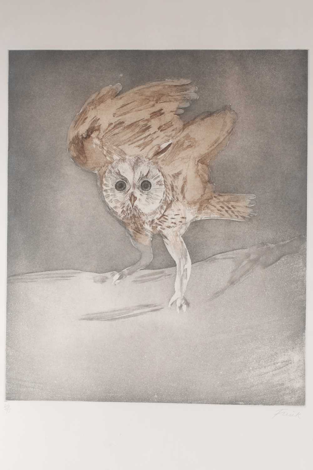 Dame Elizabeth Frink (1930-1933) British, 'Long-Eared Owl' from 'Six Owl Series', etching aquatint