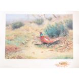 After Richard Robjent (b.1937), a limited edition signed print, depicting pheasants in a woodland
