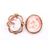 A late 19th / early 20th century cameo brooch, depicting a Classical scene of Hebe feeding the Eagle