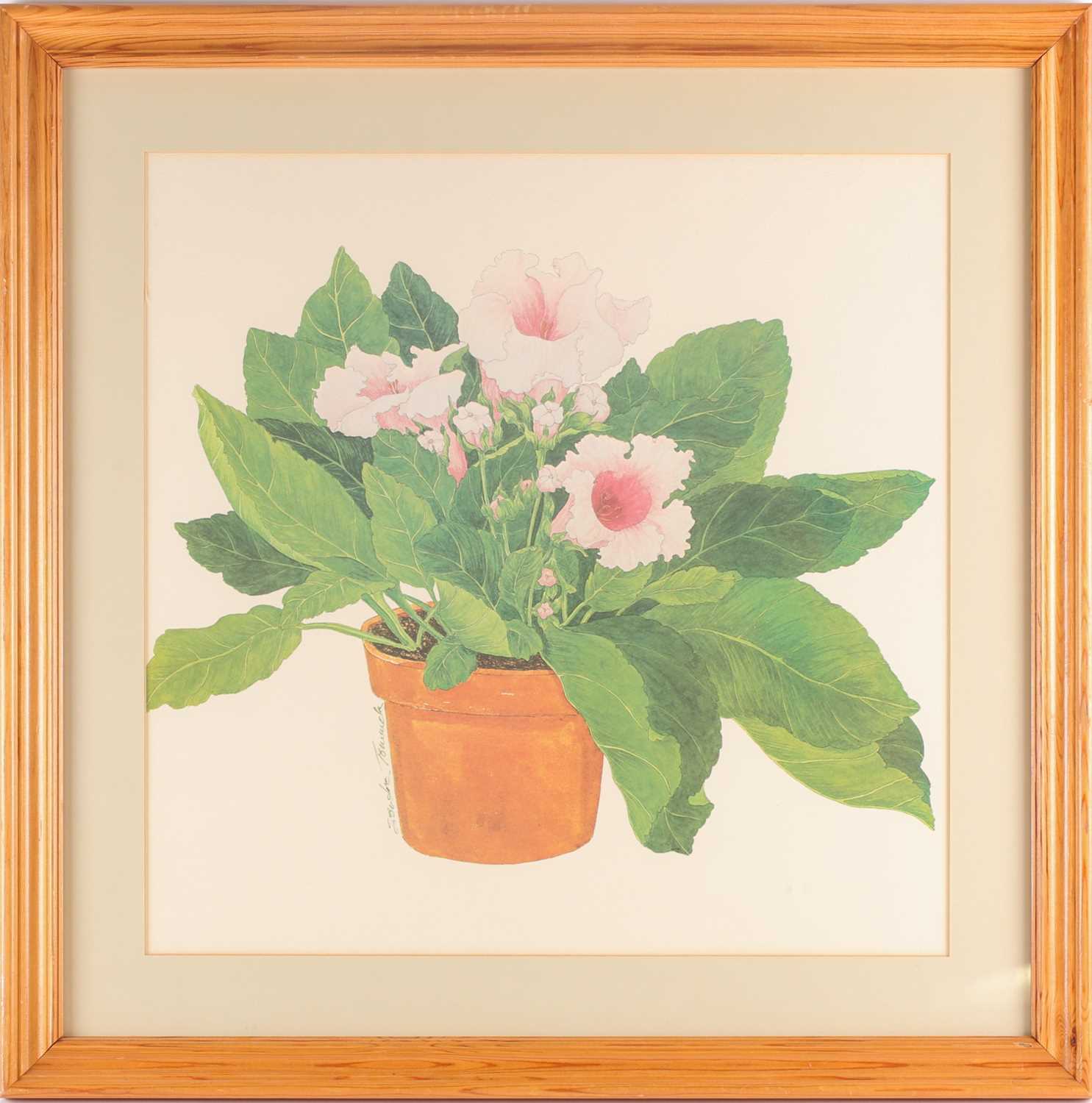 Sandra Touiaick, 20th century, study of a potted hibiscus, pencil, watercolour and gouache, signed