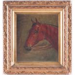 Walter Herbert Wheeler (1878-1960), study of a horse's head, oil on board, signed and dated 1903, 23