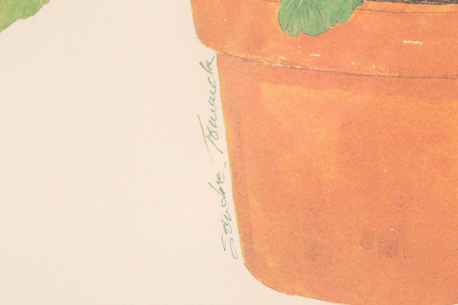 Sandra Touiaick, 20th century, study of a potted hibiscus, pencil, watercolour and gouache, signed - Image 4 of 5