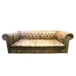 A Victorian-style deep buttoned faded and weathered tan hide three-seat "Chesterfield" sofa. 220