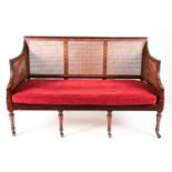 A George IV three-seat Bergere settee with moulded outline and double cane panel inset arms. On