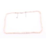 A strand of natural saltwater pearls, set with 77 pearls, fastened with a white metal clasp,