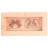 A framed set of cross-section polished ammonite fossils, the box frame 15 cm x 30 cm.