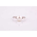 A natural saltwater pearl ring, the pearl measuring 7.5 x 7.4 x 6.8 mm, mounted in unmarked white