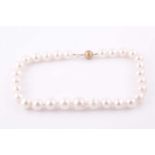 A large freshwater pearl necklace, the pearls ranging from approximately 12- 16 mm diameter,