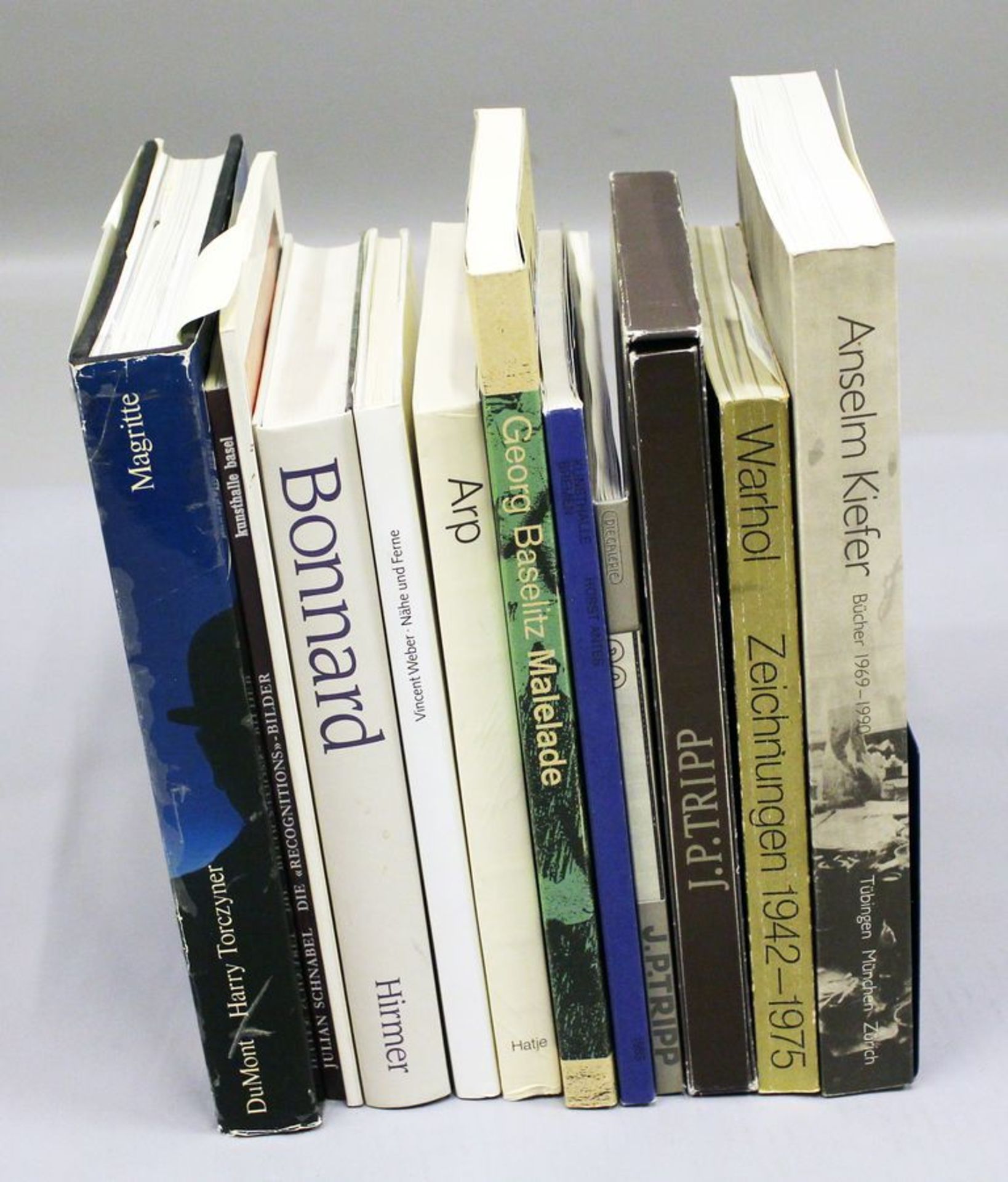 Posten Bücher. Dabei "Georg Baselitz. Malelade", "Anselm Kiefer. Bücher 1969-1990" u