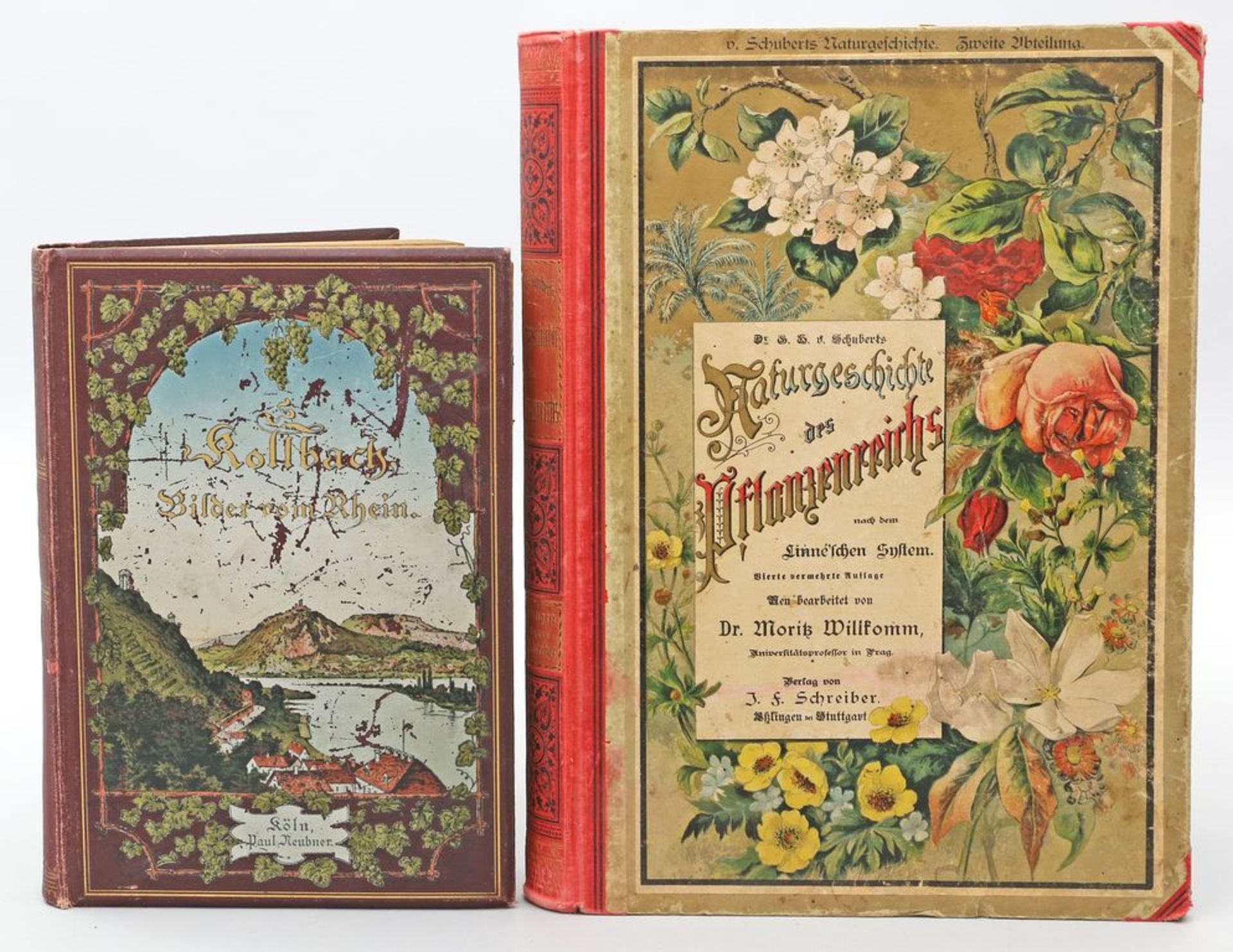 2 Bücher: K. Kollbach "Bilder vom Rhein" und Dr. von Schuberts "Naturgeschichtes des