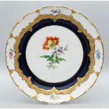 Teller, Meissen,