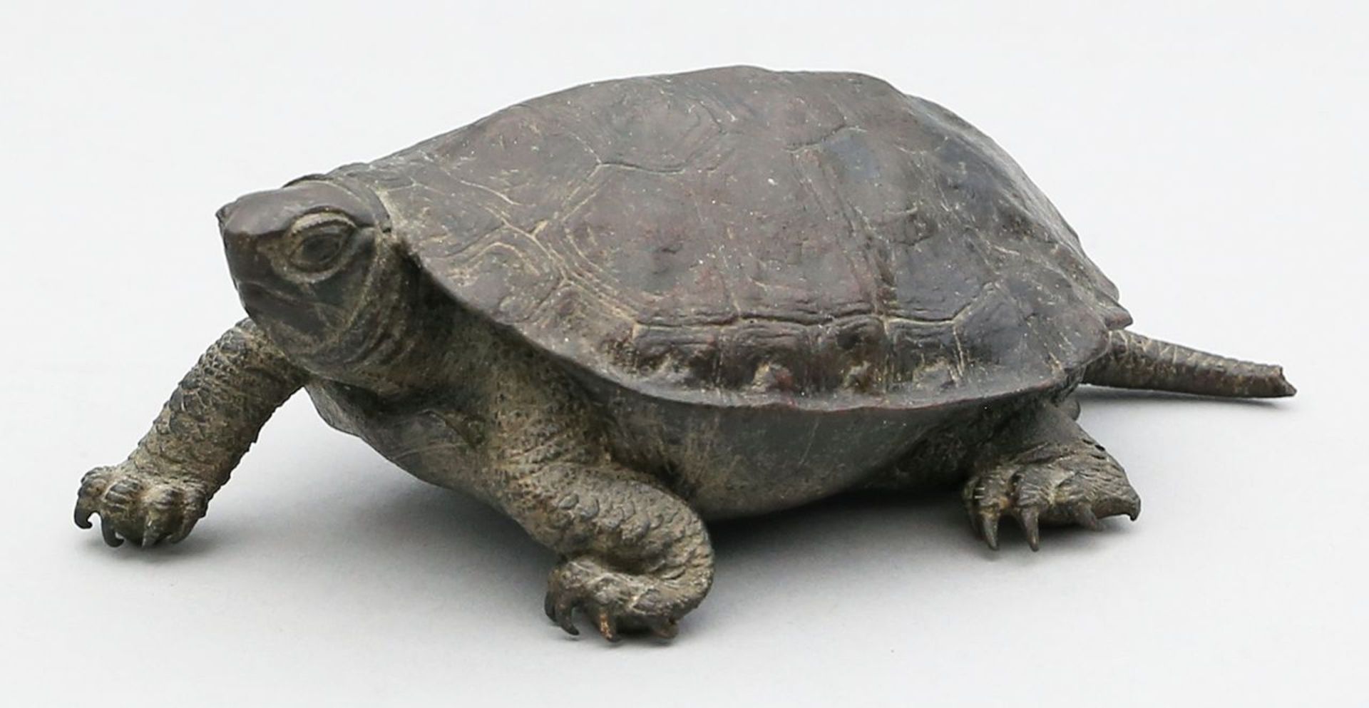 Ryuki, Nogami (1865 Japan 1932) Skulptur einer Schildkröte. Naturalistische Ausführung in dunkel